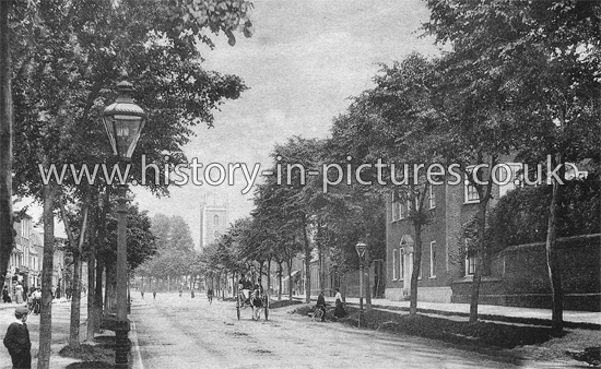 St Peter's Street, Looking North, St Albans, Herts. c.1905